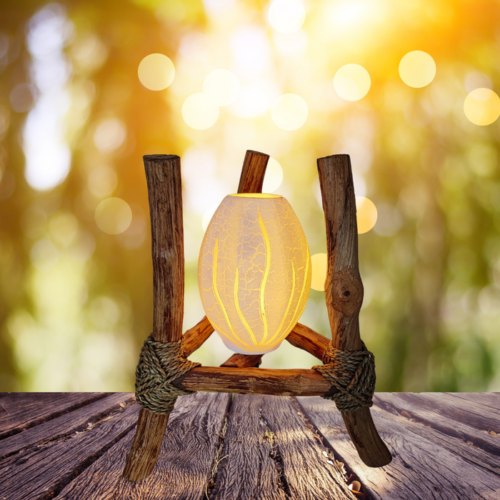Lampe Diffuseur Bois Flotté