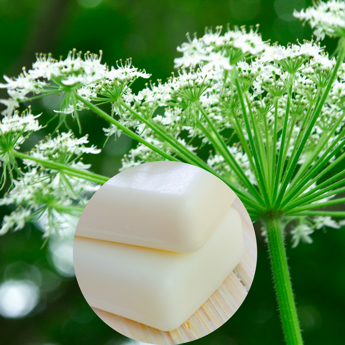 Pastille parfumée - Angélique