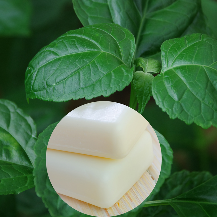 Pastille parfumée - Patchouli