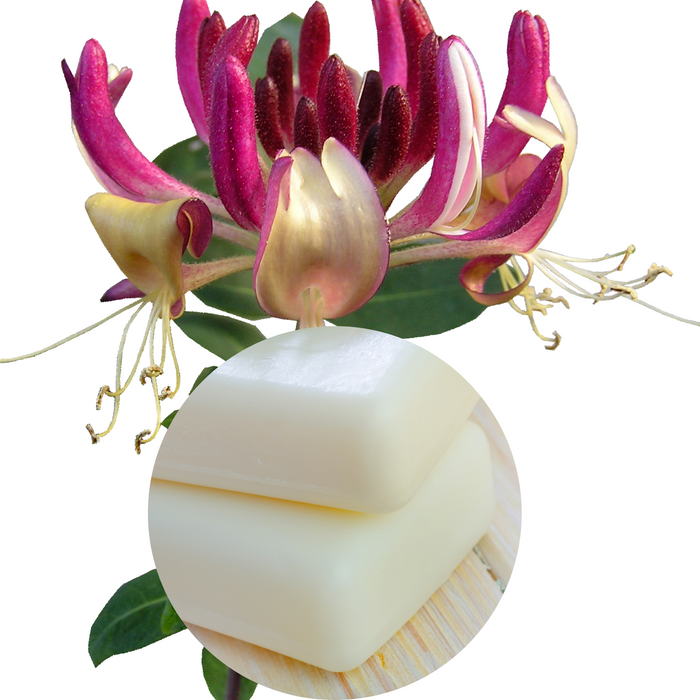 Fondant Cire 100% Végétal parfumée - Chèvrefeuille