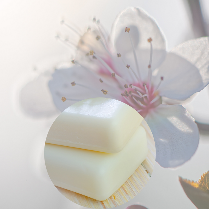 Pastille parfumée - Purity