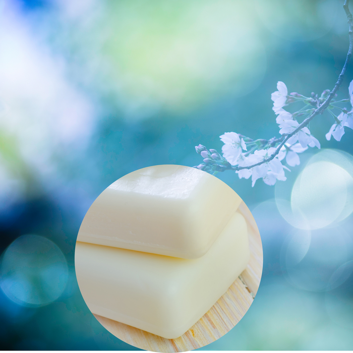 Fondant Cire 100% Végétal parfumée - Sweet Dream